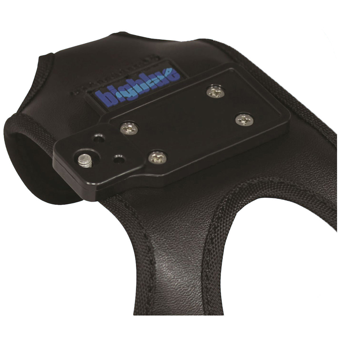 Bigblue VTL2900PB Lumen Video Light w/ Blue Light Mode | Diving Sports Canada | Vancouver