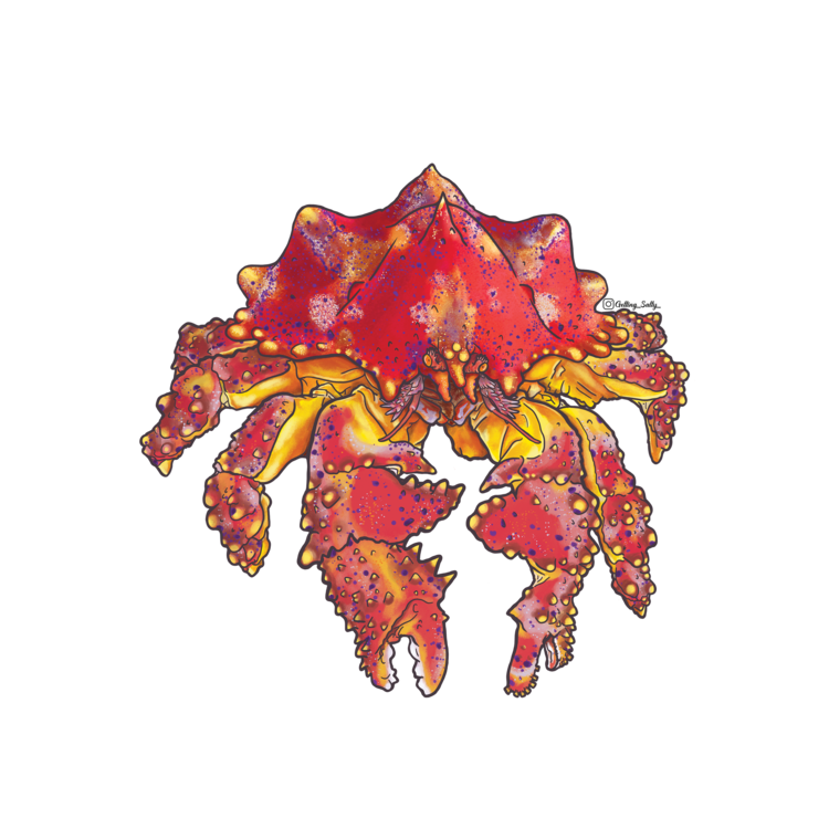 Getting Salty Puget Sound King Crab - Tank Wrap | Diving Sports Canada